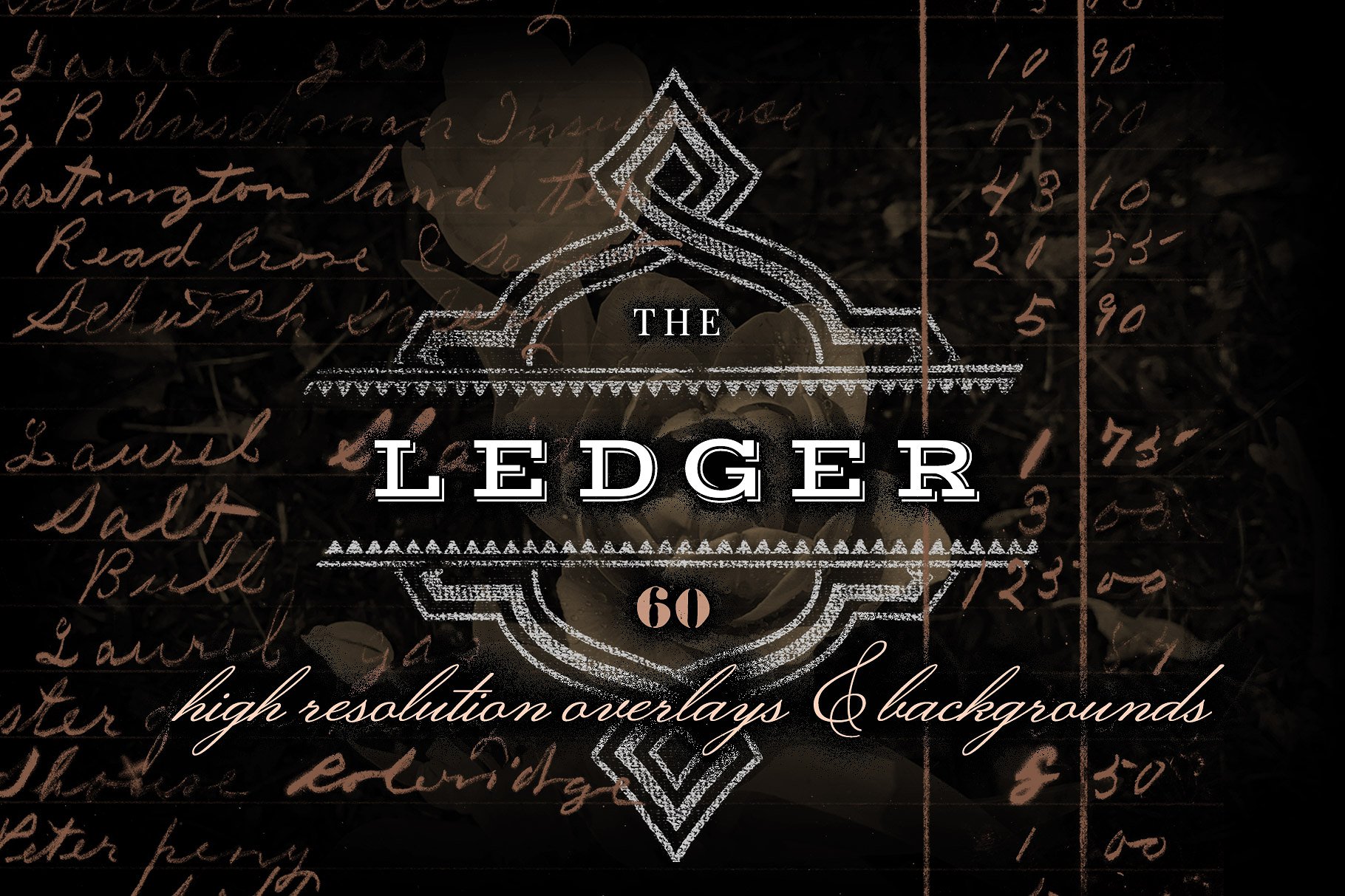 ledger是什么纸_ledger是什么意思中文