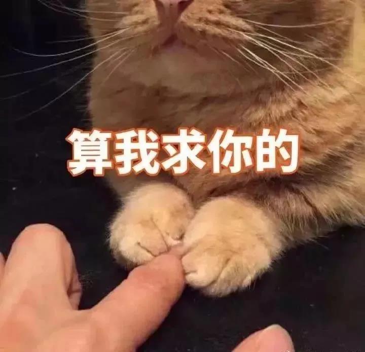 电报员是什么梗你可算来了表情包的简单介绍