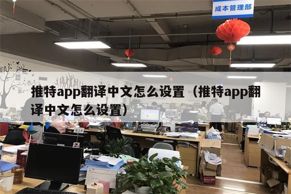中国版twitter_中国版彷徨之刃免费观看