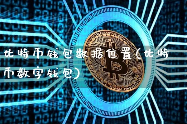 币圈公认最安全的钱包中文版_币圈公认最安全的钱包中文版是什么