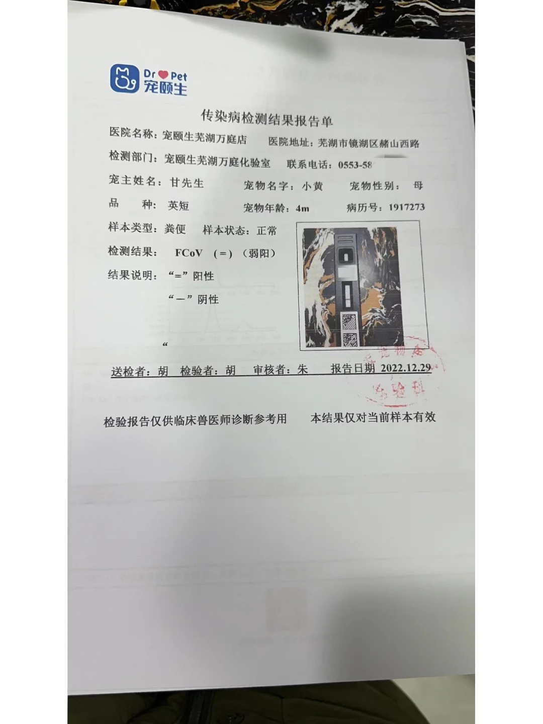 usdt被骗了报警有用吗_usdt被骗找哪个部门解决
