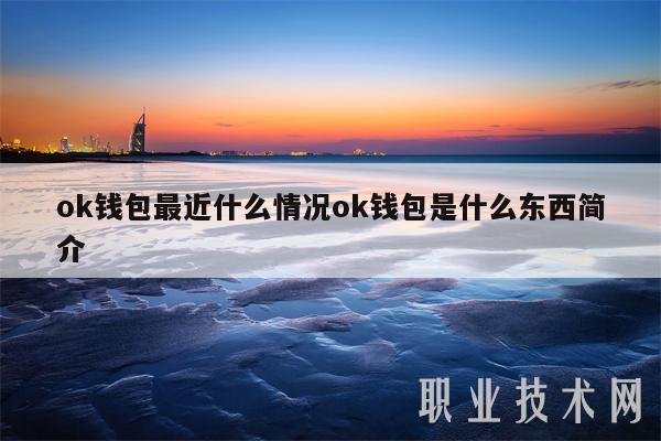okpay支付_okpay支付平台官网客服