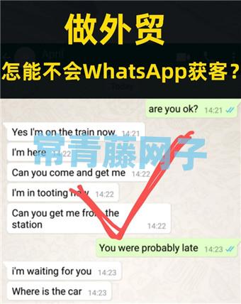 whatsapp国内手机号_WhatsApp国内手机号可以注册吗