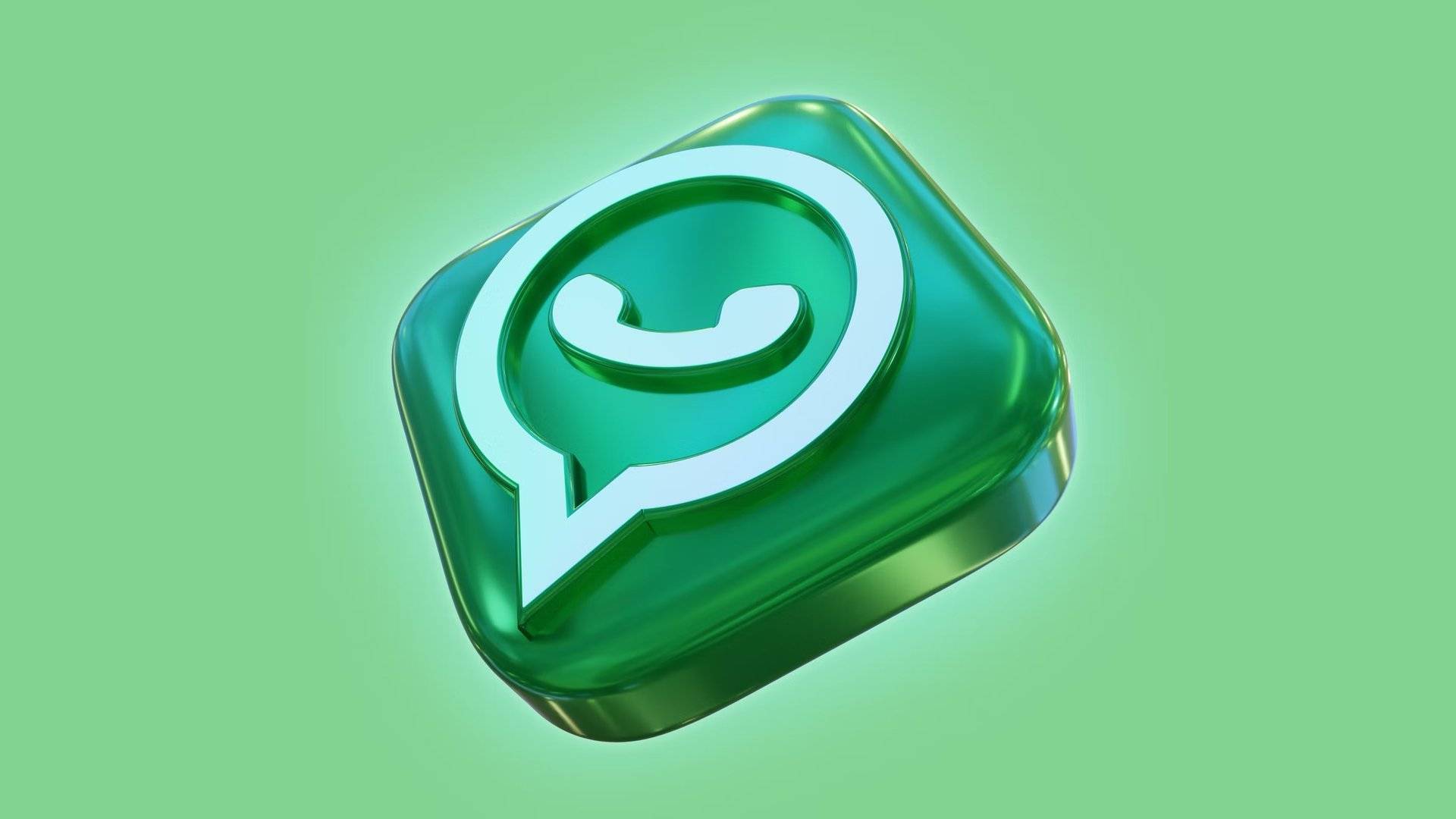 whatsapp管理软件_whatsapp manager