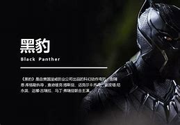 包含每天试用一小时vp加速器黑豹的词条