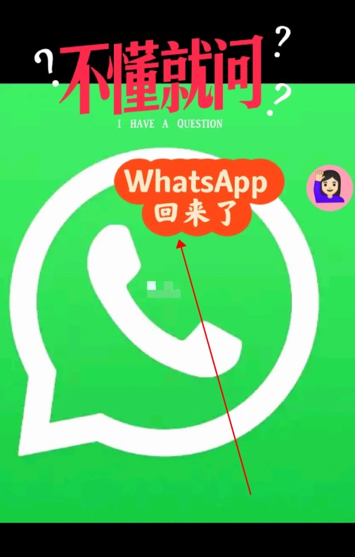 whatsapp下载2024_whatsapp下载2021最新