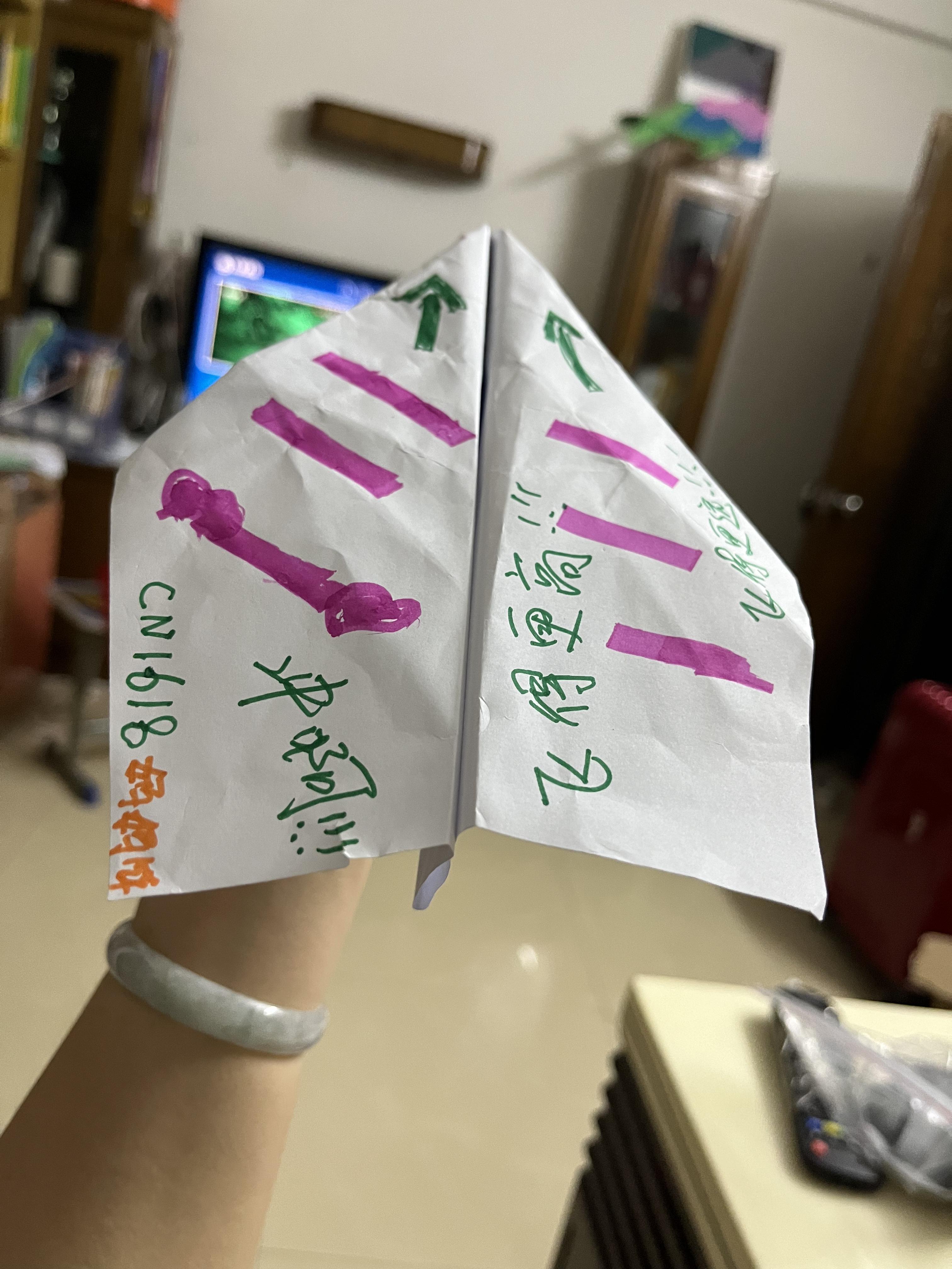 纸飞机国内为什么注册不了_注册纸飞机为什么一直显示无网