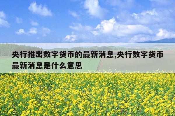 央行数字货币啥时候推出_央行的数字货币什么时候推出
