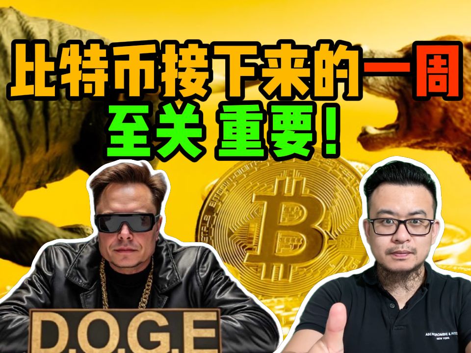 狗狗币实时行情_狗狗币实时行情走势