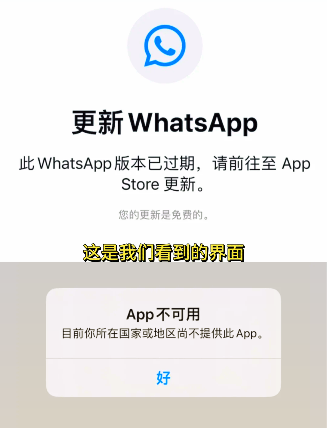 whatsapp下载APK_WhatsAPP下载 telecharger