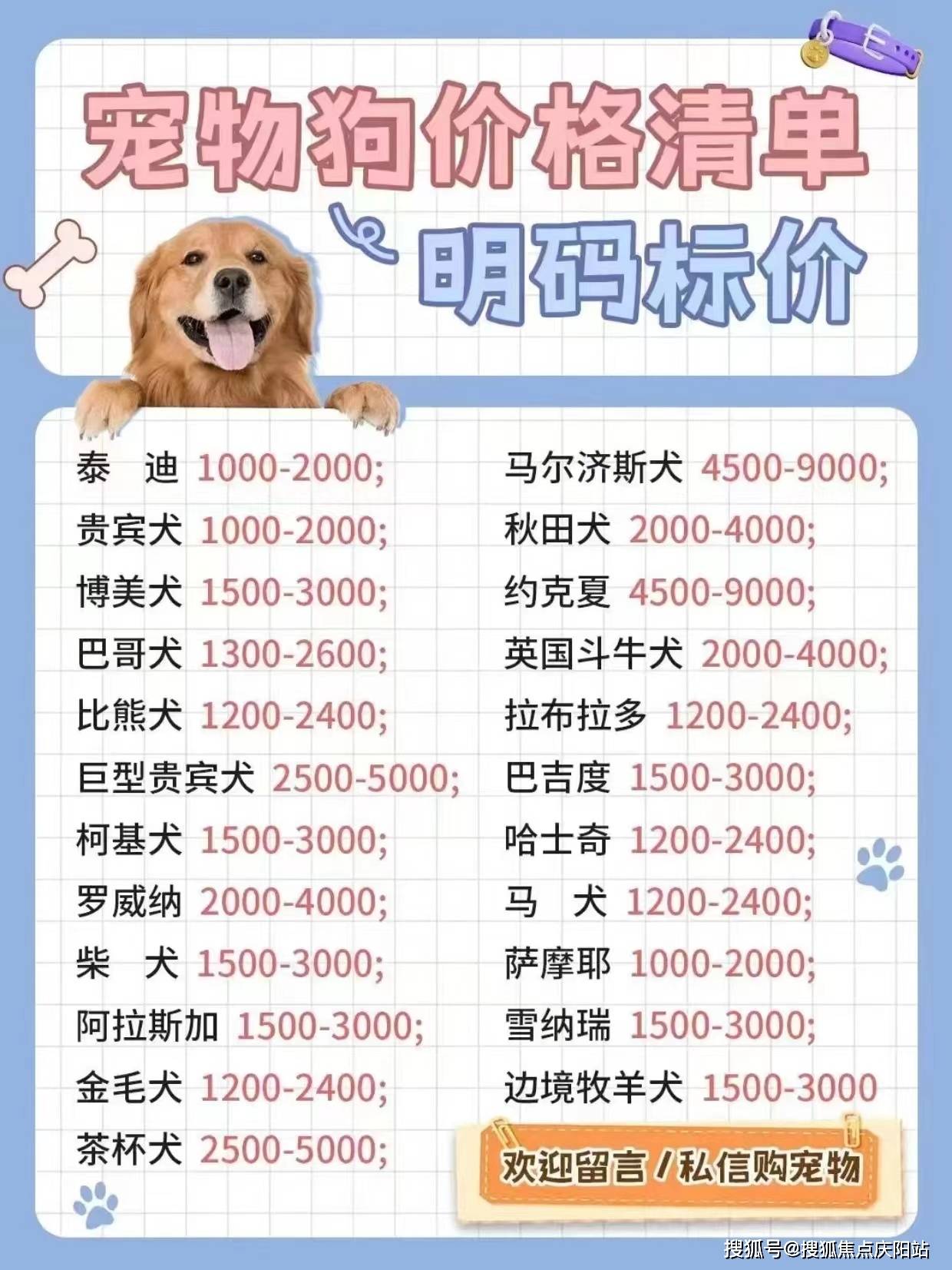 狗狗币历史交易价格_狗狗币历史行情实时走势图