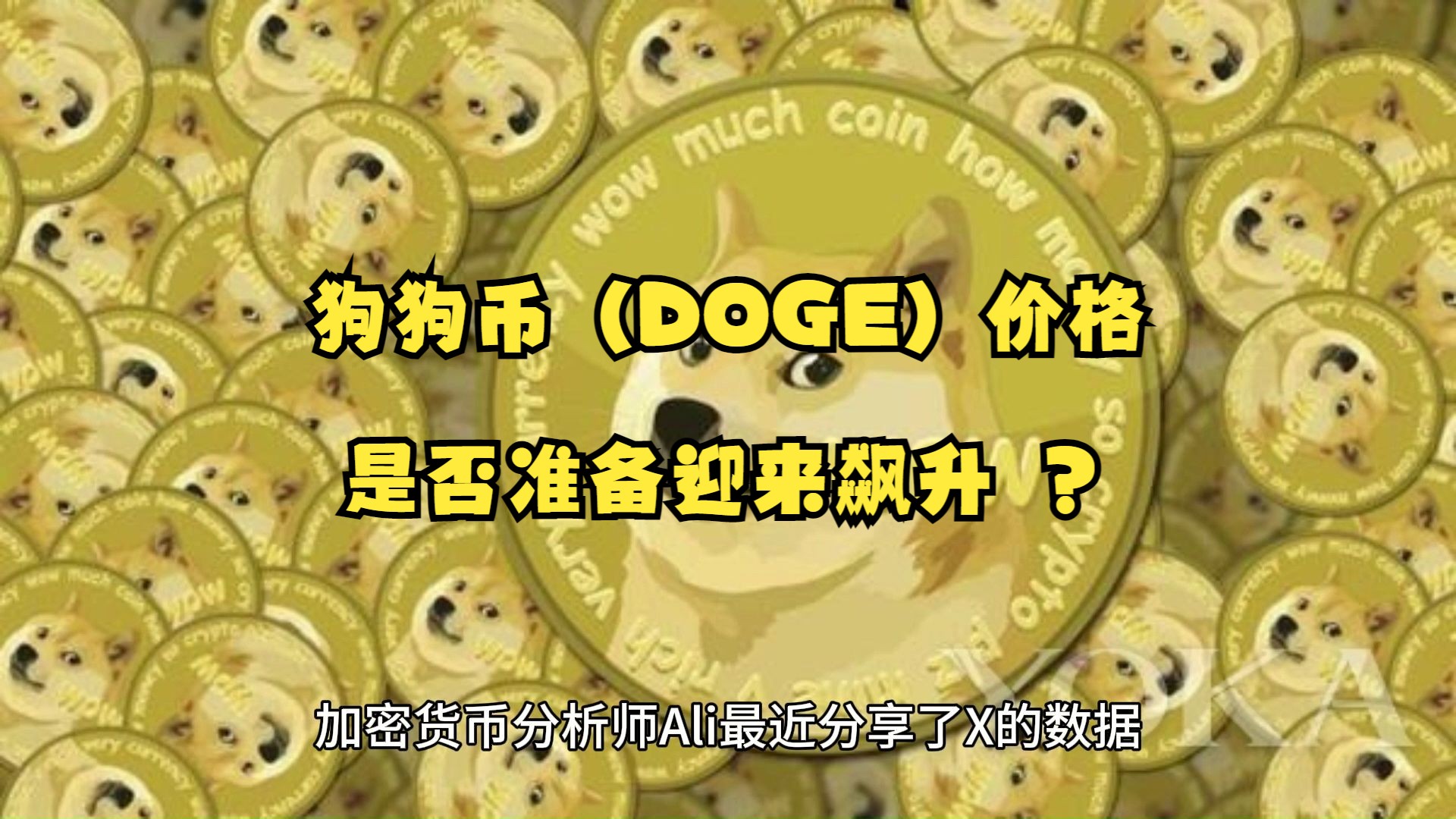 关于狗狗币涨百分之10是多少的信息