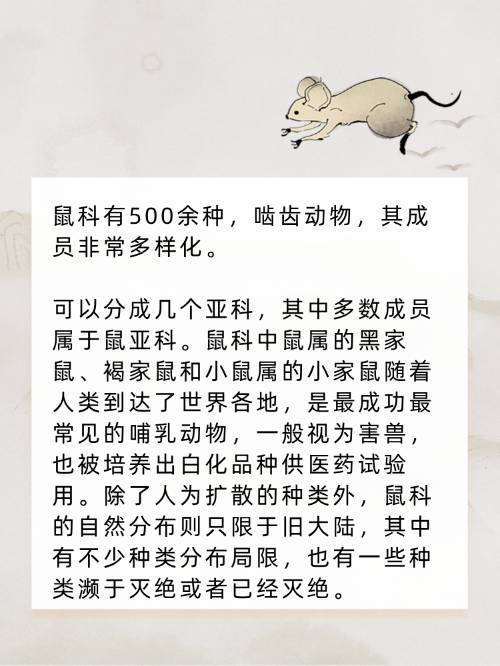 六字出玄机指什么生肖_六字出玄机指什么生肖动物