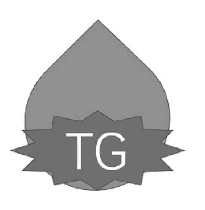 tg官方版没有中文的简单介绍