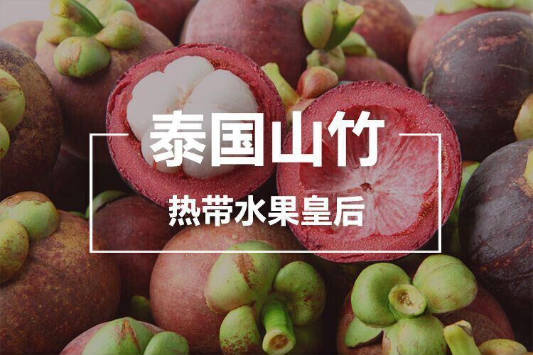 泰国官网入口_泰国uau官网