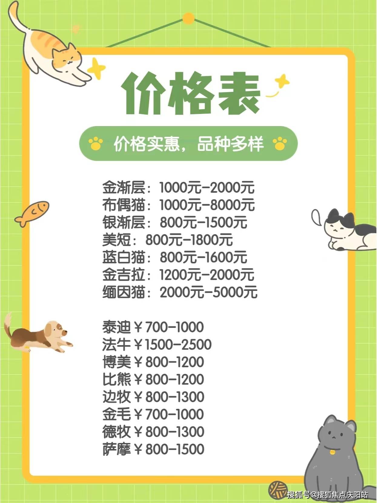 狗狗币行情最新价格_狗狗币最新价格 今日价格