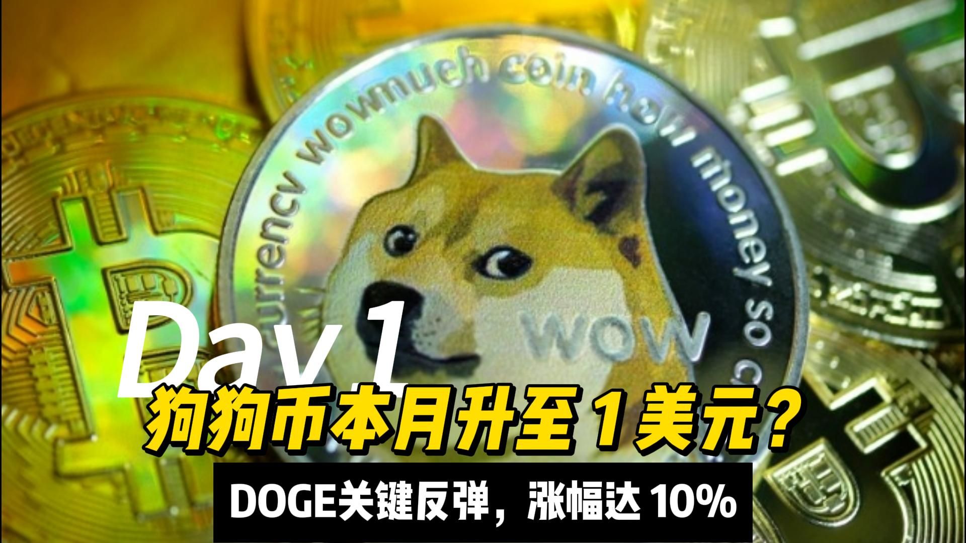 狗狗币的最新消息_狗狗币2025会涨到多少