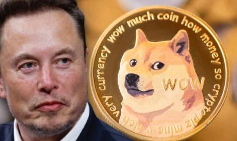 狗狗币历史价格表2021_2021年最全狗狗币历史价格表一览