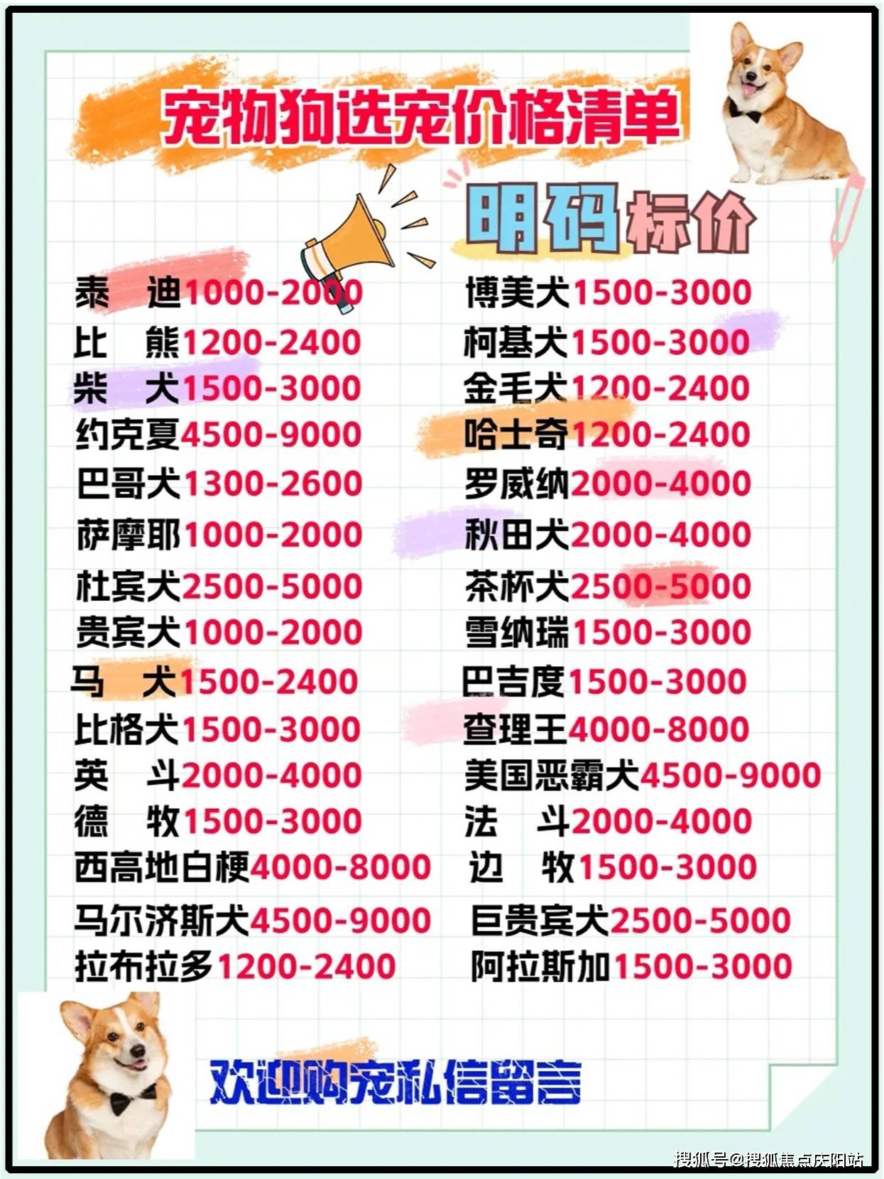 中国大陆怎么买狗狗币_中国大陆怎么买狗狗币正规平台