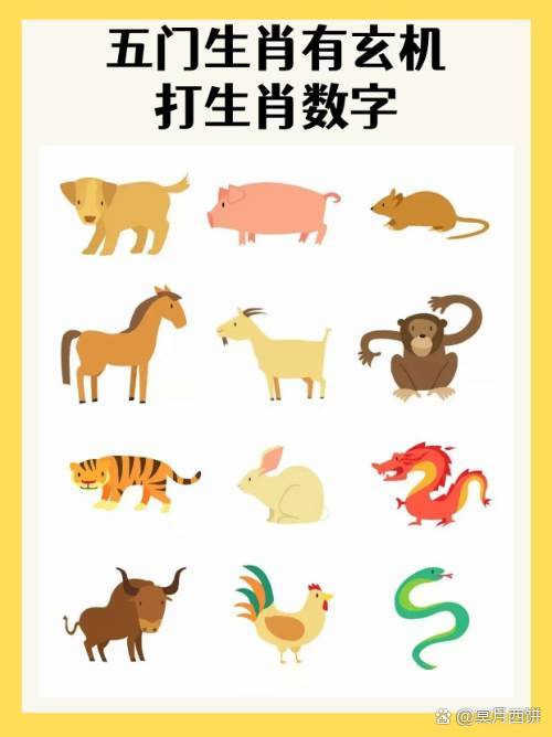 今期六字出玄机打一个数字_今期六字出玄机,特数出此不为奇是什么生肖