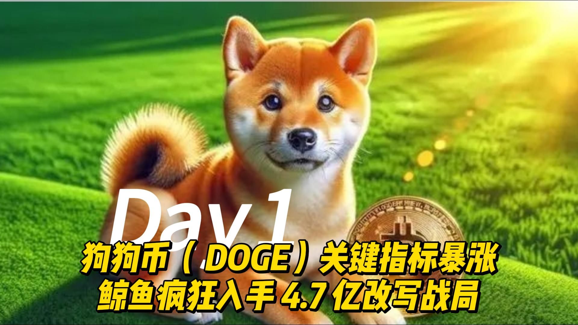 狗狗币未来10年估值_狗狗币未来2025价格