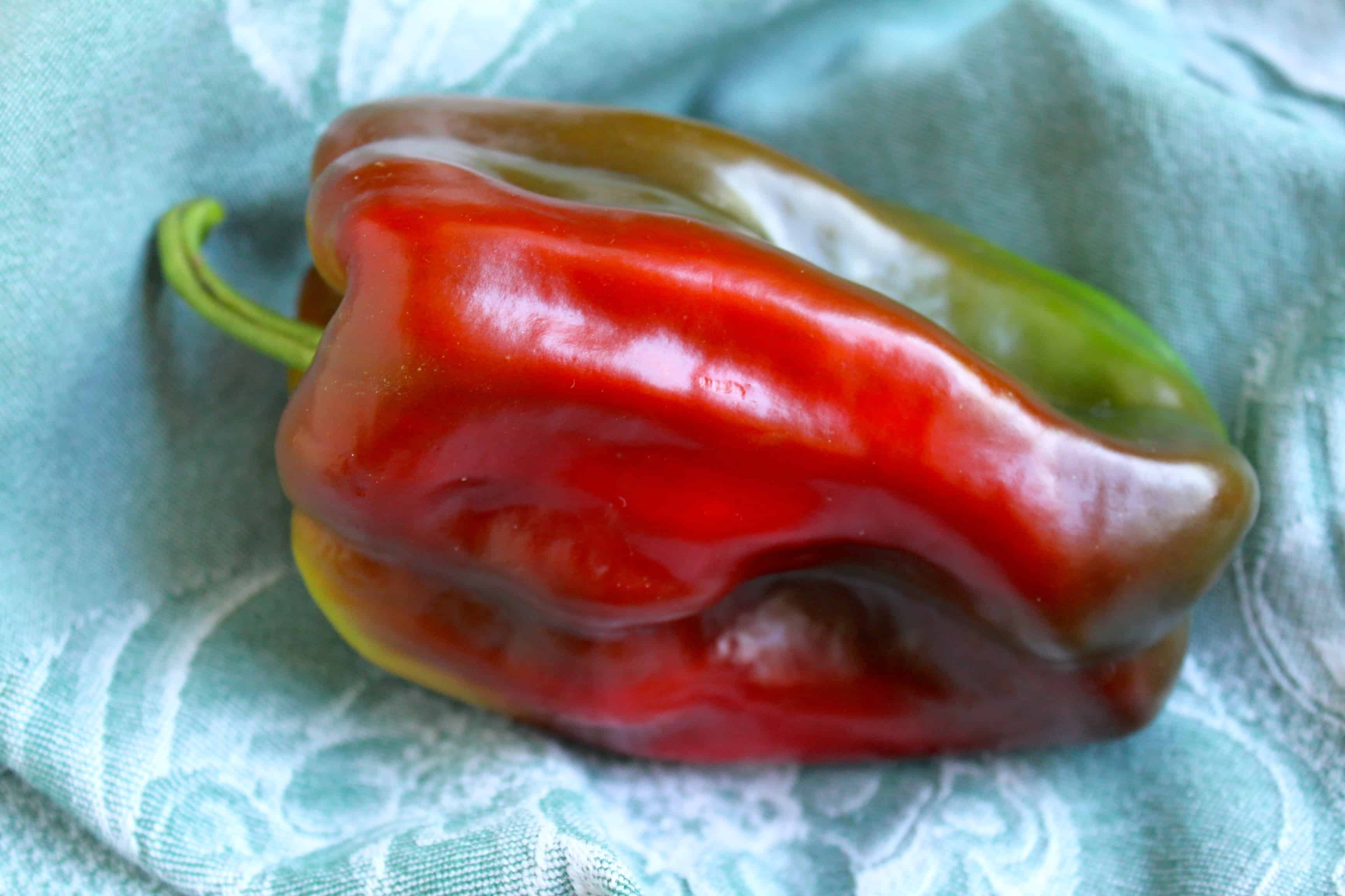 peppers_peppers读音发音