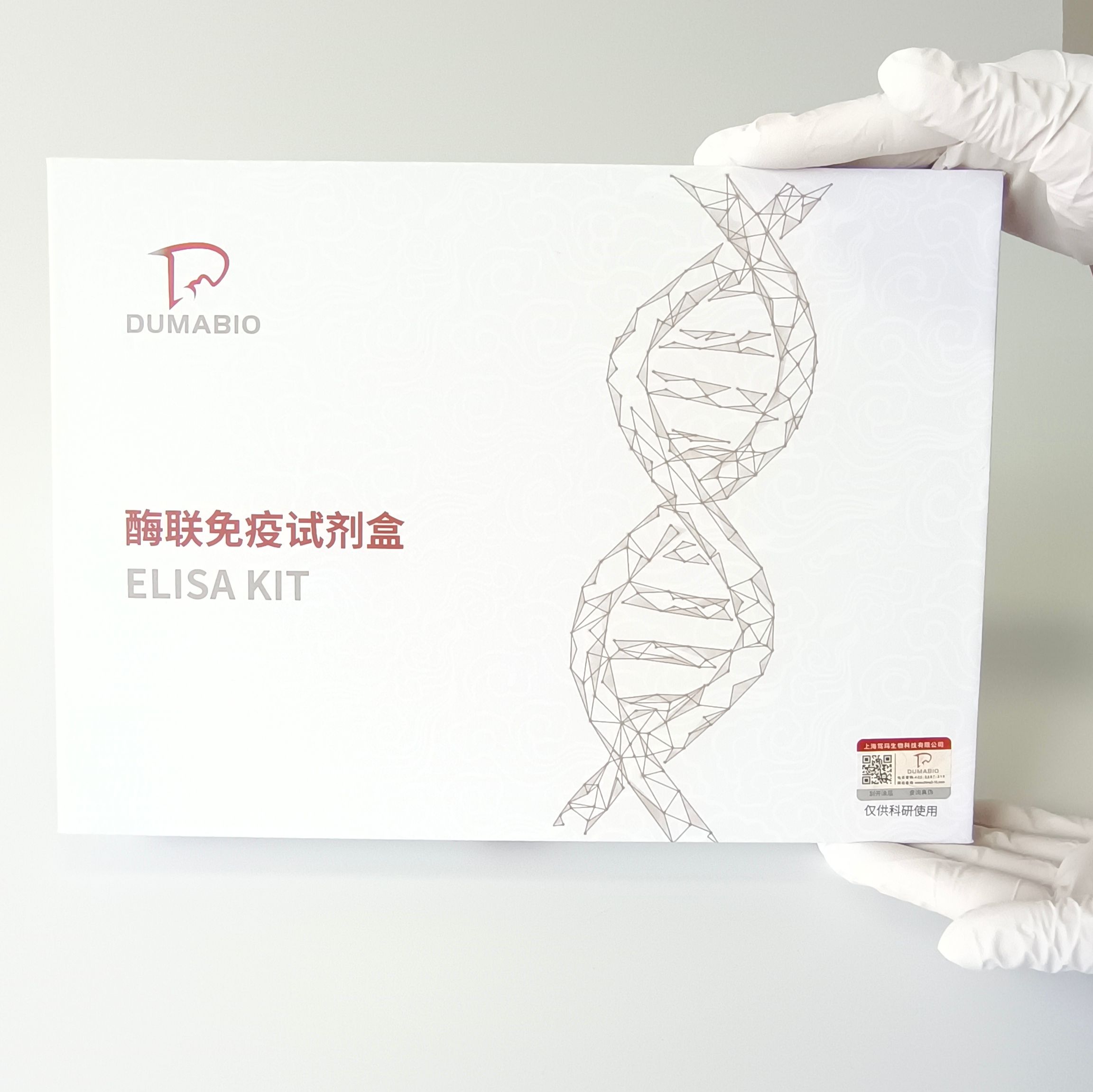 TG官网_TG官网入口登录链接