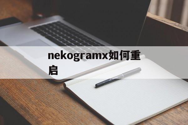 nekogramx如何重启-怎么重新启动nicegram