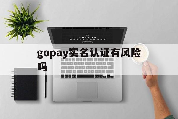 gopay实名认证有风险吗-gopay钱包里的钱可以提现吗